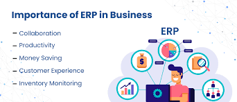 Importance of ERP for Businesses: