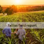 Fallias Field Report – An Overview Of Its Importance And Insights!