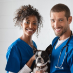 How to Design Your Veterinarian Disability Insurance Plan