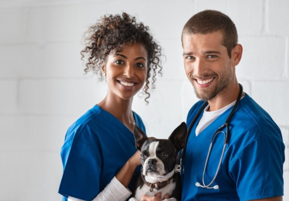 How to Design Your Veterinarian Disability Insurance Plan