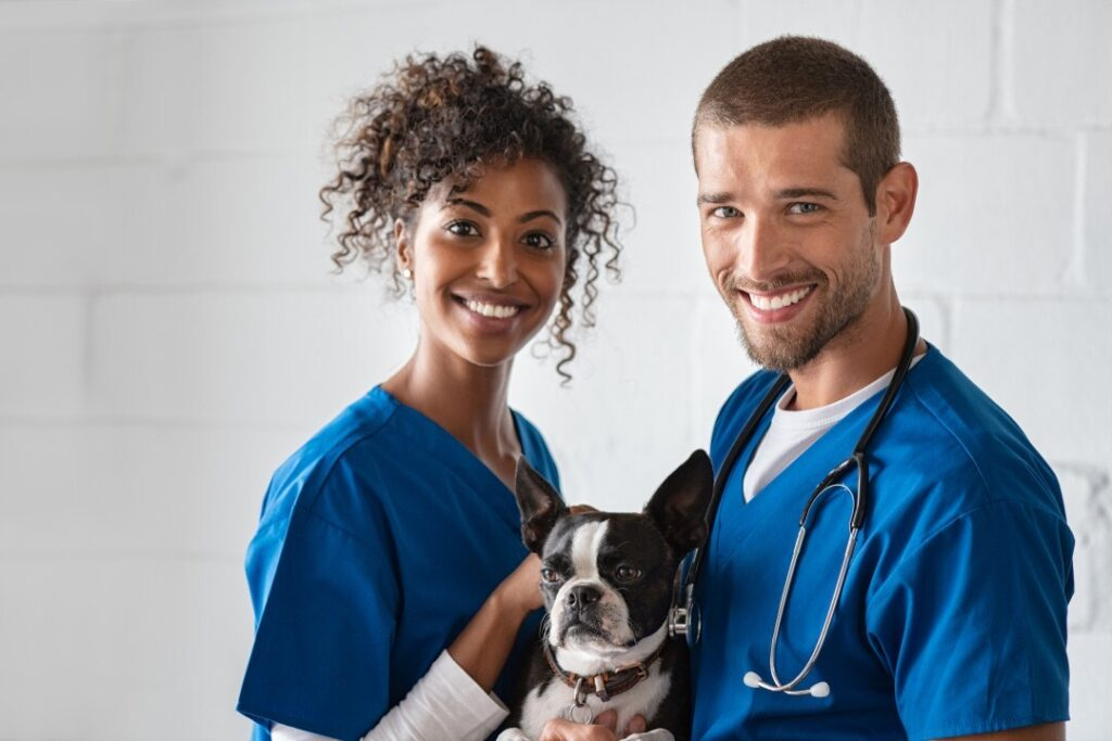 How to Design Your Veterinarian Disability Insurance Plan